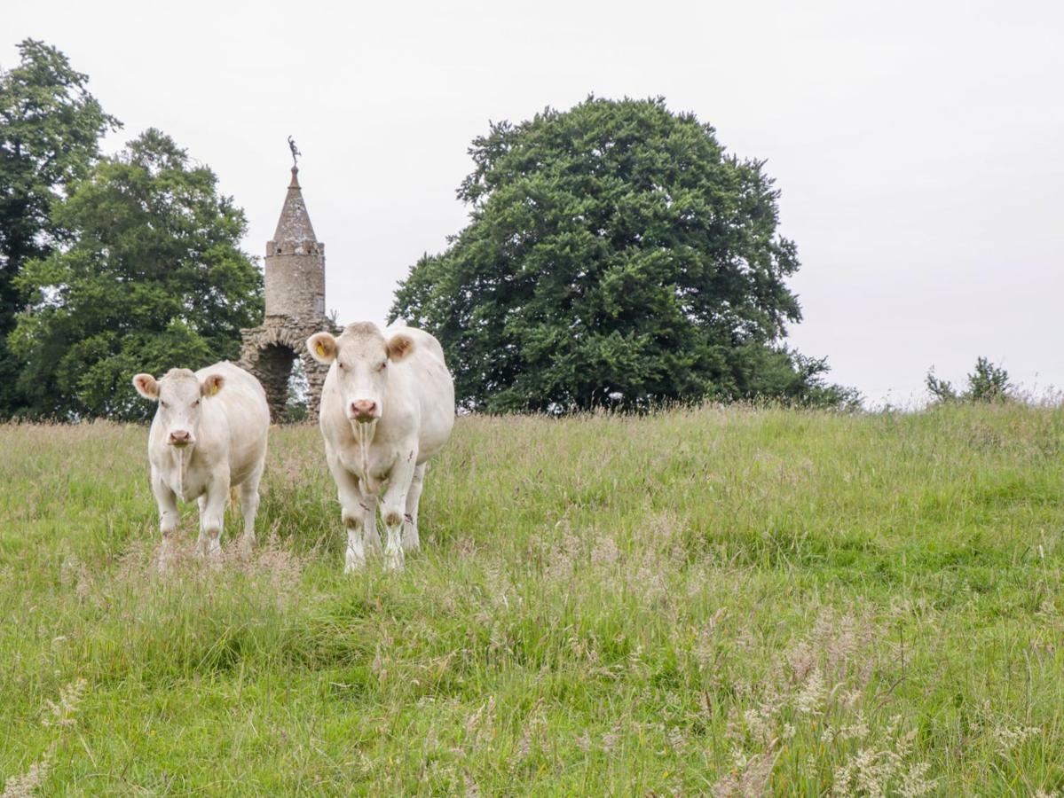 Willa The Milking Barn Yeovil Zewnętrze zdjęcie